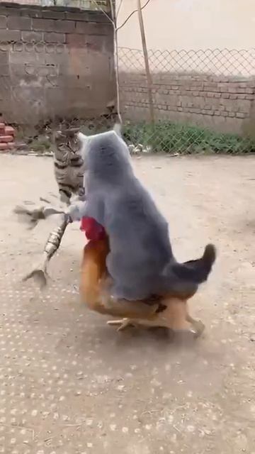 Хорошо в деревне летом