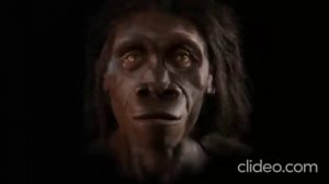 Эволюция человека за 30 минут