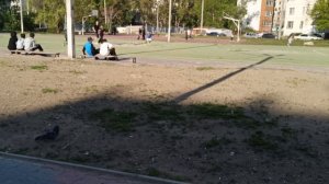 Вечерний променад....🥰🌹🌹🌹