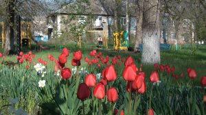 Скоро лето - 2026 _ Суходольск ЛНР _