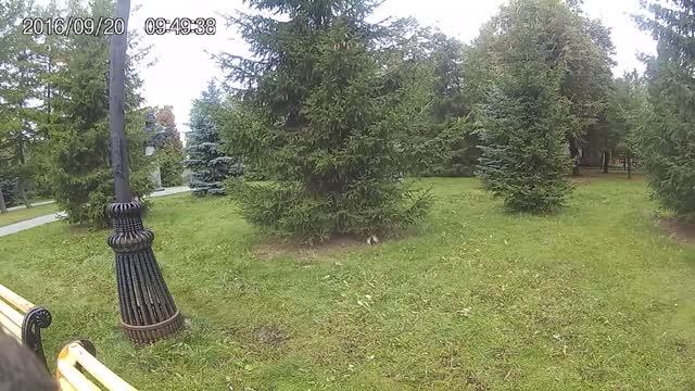 Один МИГ из жизни Челябинска.