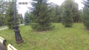 Один МИГ из жизни Челябинска.