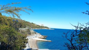 Идём с Маркизом к морю через Воронцовский парк 😺.