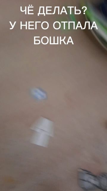 Ходячая Блокировкаミ