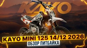 KAYO Mini К125EM - ОБЗОР НОВОГО ПИТБАЙКА 2026 ОТ KAYO / Роллинг Мото