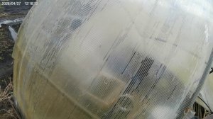 Был парник и нет парника.