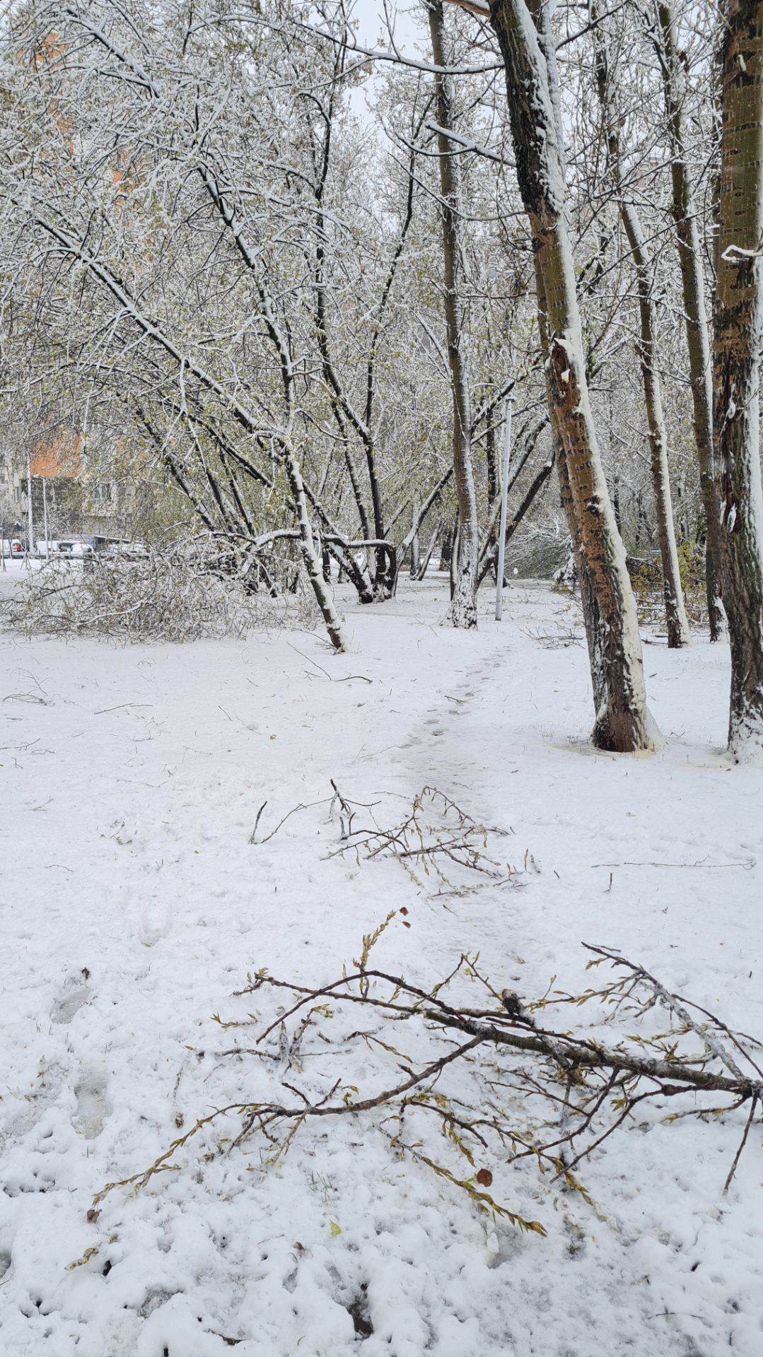 Снег вернулся в Москву 27 апреля