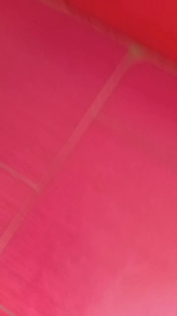 Оскар # Шереметьевский приют # собаки в дар