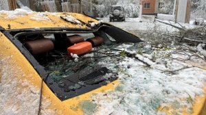 Американские клены-убийцы не выдерживают российских снегопадов и падают на машины