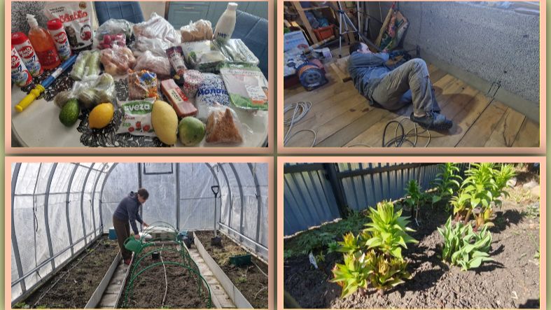 Стало лучше. Покупки на 5 тыс. и новые розы. Готовка Стройка и Огород.