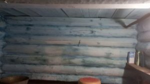 влог 21.04-26.04