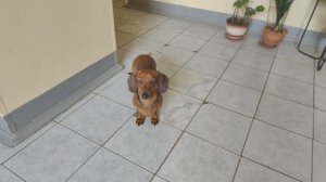 27 апреля. Режим «весна» отменён