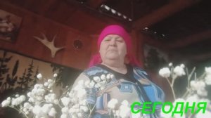 ЖДУ САН САНЫЧА ДОМОЙ / ЗАТОПИЛА БАНЮ / ПОСУДОМОЙКА  перед ВАМИ /  УРАЛьское село