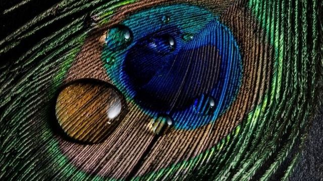 Голока - Васвдева Тиртха, Парвати