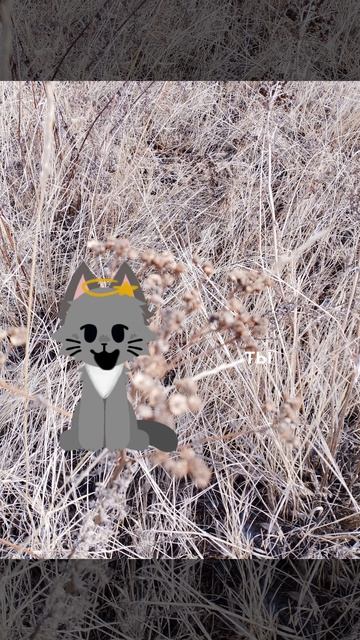 хоть один коллаб пж:(