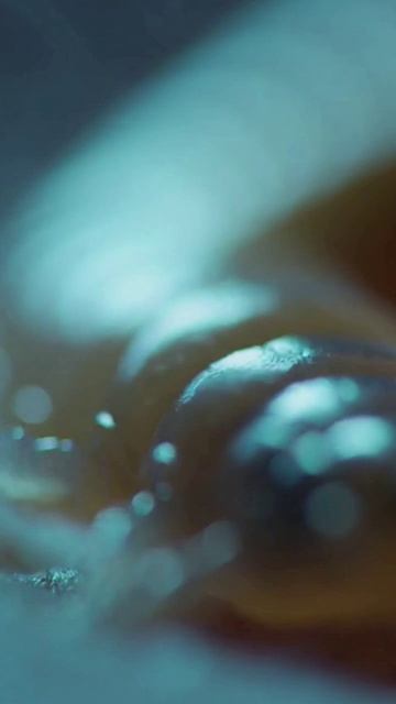 Каждую ночь они жрут твою кожу (#1 Микромонстры)