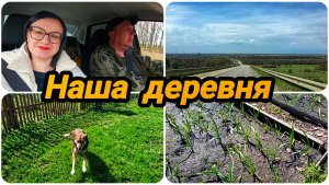 СЪЕЗДИЛИ НА РАЗВЕДКУ В ДЕРЕВНЮ 🏡 РАБОТЫ МНОГО, СКОРО ОТКРЫТИЕ СЕЗОНА ☺️