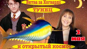2 мая Гарри Поттера, Тунец и Бескрайний Космос
