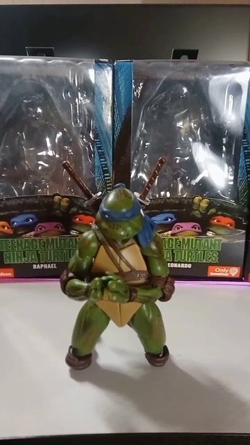 Позинг черепахи ниндзя