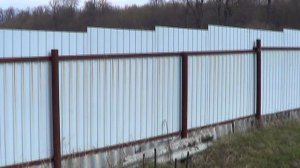 После недели холодов пчёлы на поилке