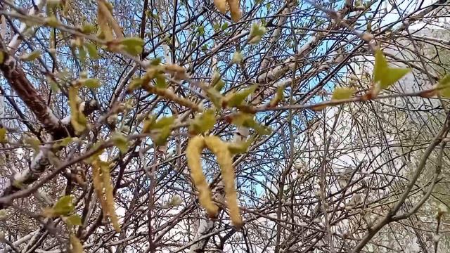 А в городе весна. Улицы нашего города