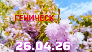 Геническ: магазин цветов,сакура и еще много чего 🌸🌿