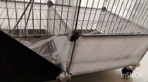 225).27.04.26.Моя городская жизнь 👩🍀🌹🍀🌹🍀.