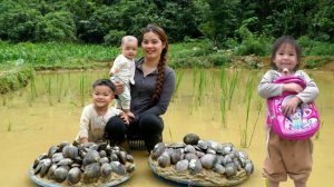 How to catch giant freshwater oysters for sale - Cooking with my three children