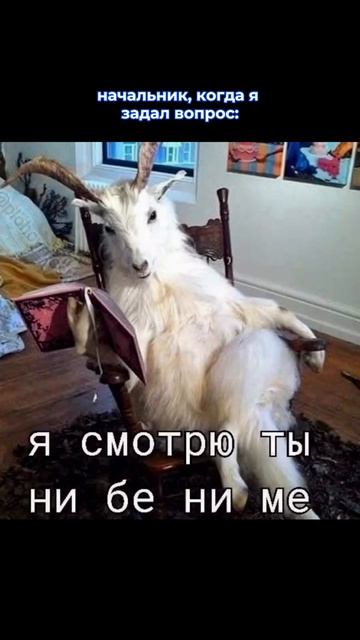 Ни бе ни ме 🥴