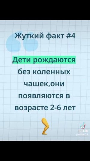 факт #23