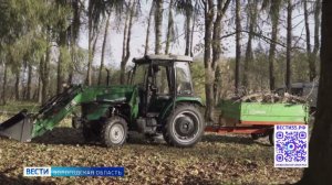 Больше 460 вологжан приняли участие во всероссийском субботнике