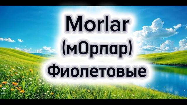 Цвета на турецком языке 🇹🇷💙 как сказать оранжевый на турецком языке 🇹🇷