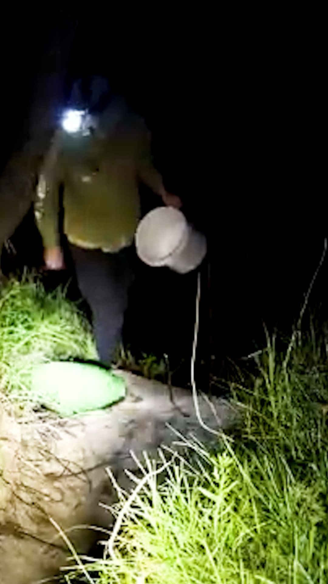 Встреча с ночными жителями леса и подготовка к ночной рыбалке