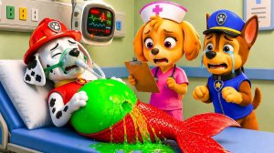 О нет! Что случилось с МАРШАЛЛОМ беременная русалочка Не плачь, ЧЕЙЗ! / Щенячий патруль на испанском