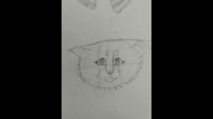 Кого на арт поставить? бб