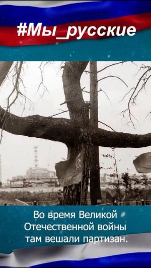 Осталось дерево, оно и на иконе Чернобыльской - это стопка.