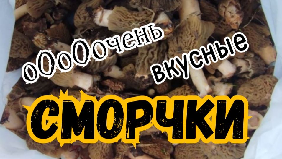 Сморчки и ньоки в сливочно сырном соусе