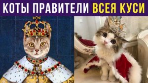 ВЕЛИКИЕ ПРАВИТЕЛИ ВСЕЯ КУСИ)) Приколы с котами