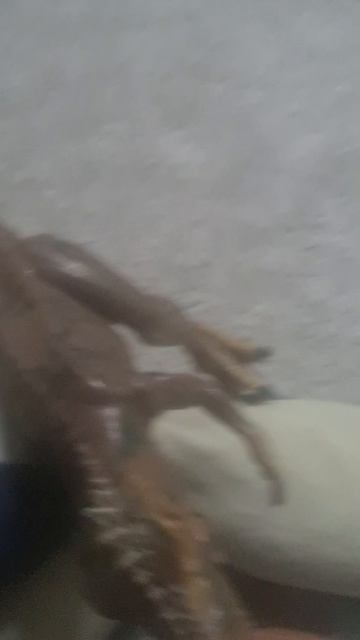 1000086244.mp4