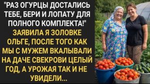 «Раз огурцы достались тебе, бери и лопату для полного комплекта!» Заявила я золовке Ольге!