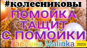 Колесниковы _Помойка притащил помойку_Завидуем _Обзор Влогов _Семья Колесниковых _