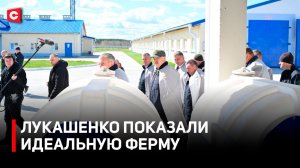 Лукашенко оценил ферму | Президент о посевной | Экскурсия по кондитерской фабрике | Рабочая поездка