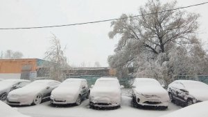 Сразу три погодных рекорда побиты в Москве