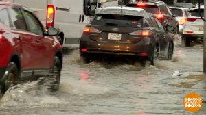 Я вас люблю, мои дожди...Доброе утро. Фрагмент выпуска от 27.04.2026