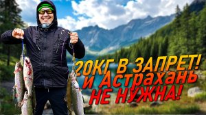 С ТАКОЙ РЫБАЛКОЙ И АСТРАХАНЬ НЕ НУЖНА! ОГРОМНЫЕ РЫБИНЫ НА УЛЬТРАЛАЙТ В ЗАПРЕТ! РЫБАЛКА НА СПИННИНГ