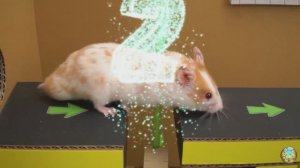 Приключения хомячка - Злодеи захватывают мир! часть 7