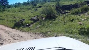 Водопады Таваксая.Калла поча и цыплята табака.Музыкальная пауза с саксофоном.Влог#298