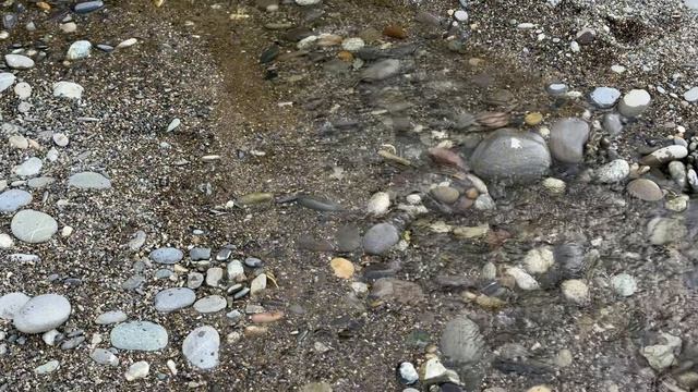 ДУХВМАТ. Выпуск 13