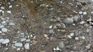 ДУХВМАТ. Выпуск 13