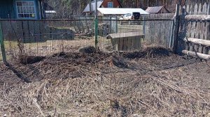 Посадила лучок 🥴🍀🌿